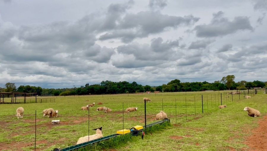 3 Bedroom Property for Sale in Bainsvlei Free State